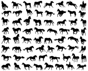 Big set of horses silhouettes