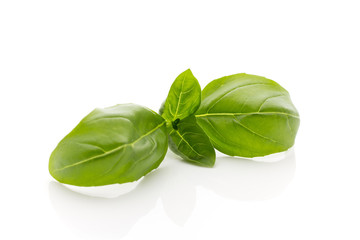 Obraz premium Basil.