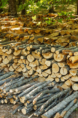 Stack of wooden logs