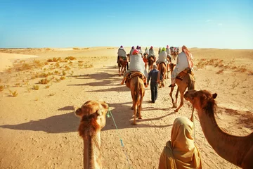 Foto auf Acrylglas Sahara desert © adisa