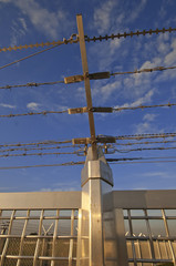 Barbed wire fence