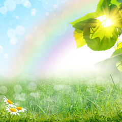 green summer nature background