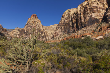 Obraz premium Desert landscape with a cactus and deep blue sky.