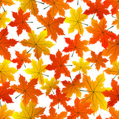 Autumn leaves seamless background.