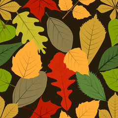 Autumn leaves seamless background.