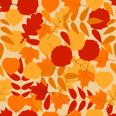 Autumn leaves seamless background.