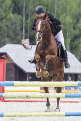 Horse jump a hurdle in a competition