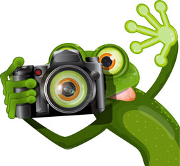 Naklejka premium żaba z aparatem