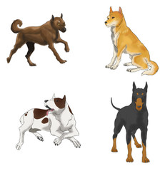Sets of illustration dogs (vector)