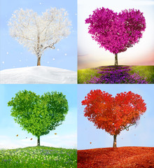 Tree of love in for season