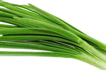Young onion on white background. Close-Up. Isolated.