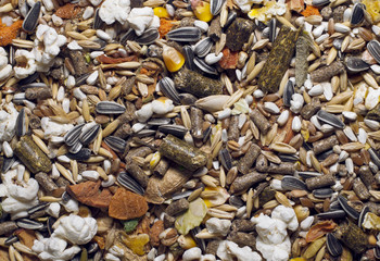 Grain food mix for animals
