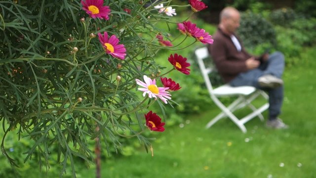Male - working in park on tablet
