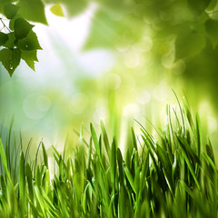 Green world, abstract environmental backgrounds for your design