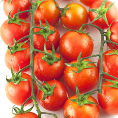 tomatoes on white background with water drops