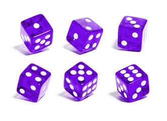 Würfel, 6er Set, kippen, lila