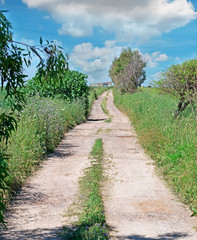 country road and clouds