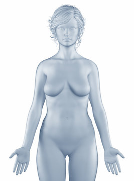 Woman in anatomical position isolated