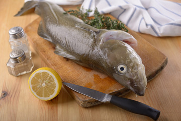 Raw cod