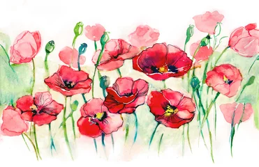 Peel and stick wall murals Paintings poppies horizontal