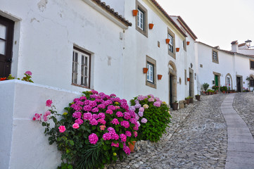 Marvao, turismo en Portugal, Alentejo, calle típica con hortensias