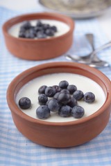 Yogurt with blueberry