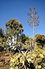 végétation exceptionnelle