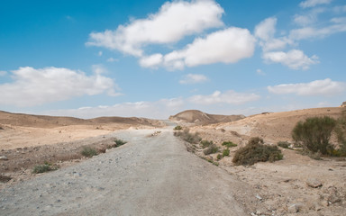 Wild desert road landscape.