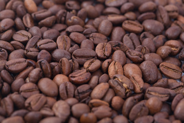 Coffee beans backgrounds