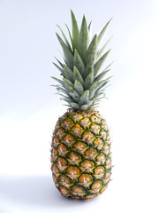 Ananas Freisteller