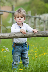 Kleiner Junge in einer Wiese