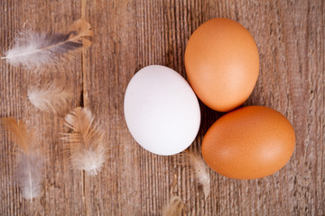 three eggs and feathers