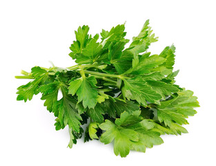 Fresh parsley herb