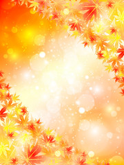 もみじ　紅葉　背景