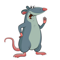Mouse on a white background