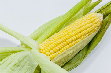 Fresh corn on a white background.