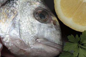 bream