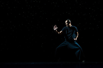 Obraz premium Martial Arts
