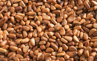 Pine nuts
