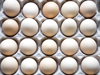 eggs