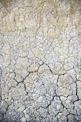 Drought