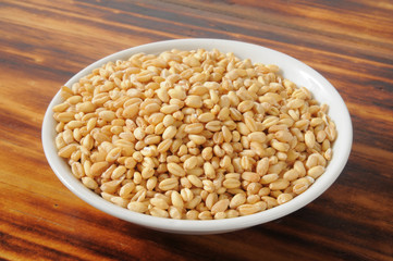 Wheat kernels