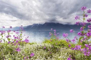 Photo sur Plexiglas Orage Flowers against mountains, Montreux. Switzerland