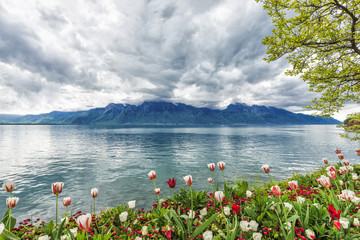 Flowers against mountains, Montreux. Switzerland - 52315166