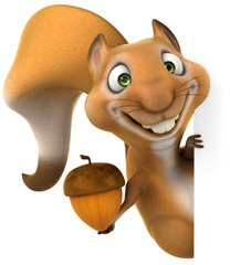 Fun squirrel