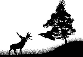 pine tree and deer silhouettes