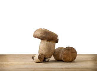 Mushrooms isolated on White