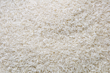 rice background