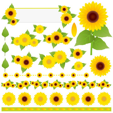 sunflower Material   Set
