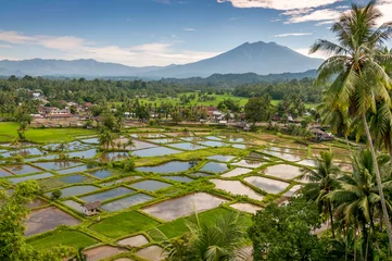 Foto op Plexiglas Indonesië Platteland bij Suamtra